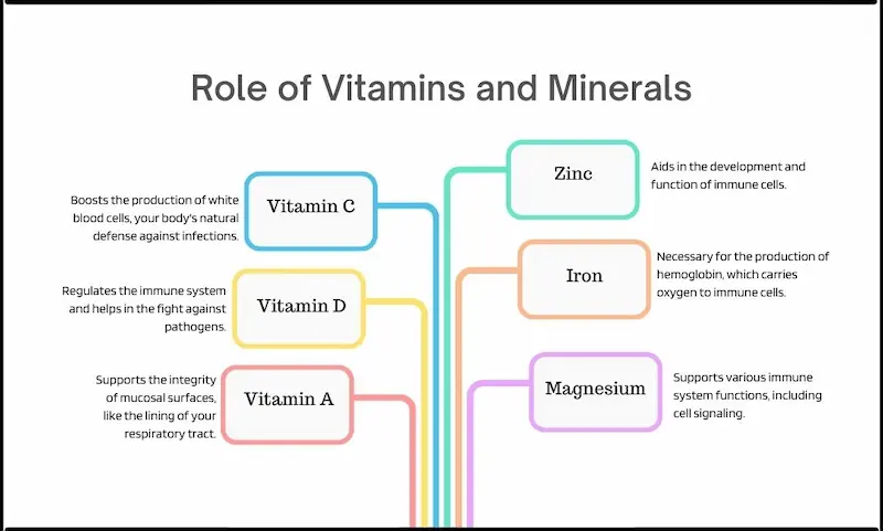 why are vitamins and minerals important
