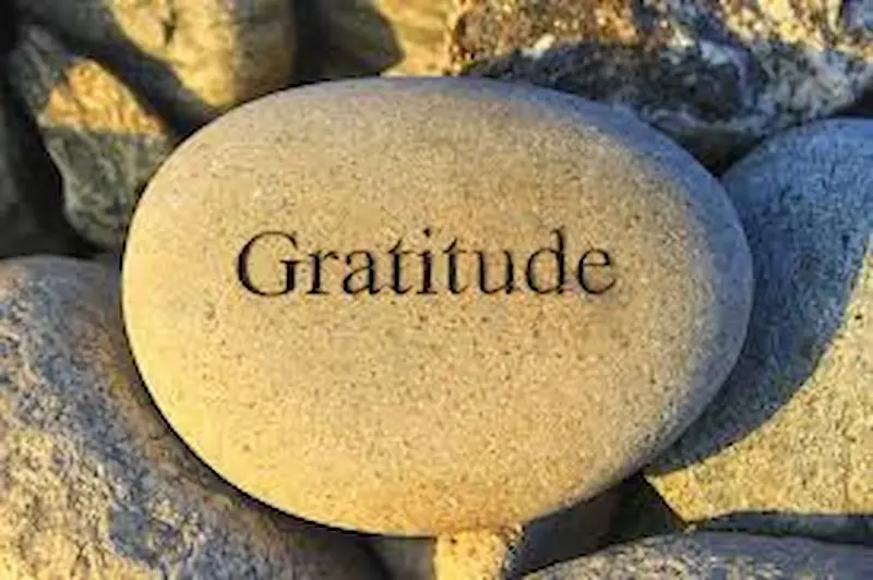 gratitude reflection
